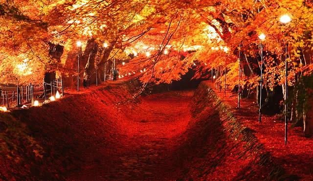 Minshuku Fugakuso Hotel Fujikawaguchiko Esterno foto