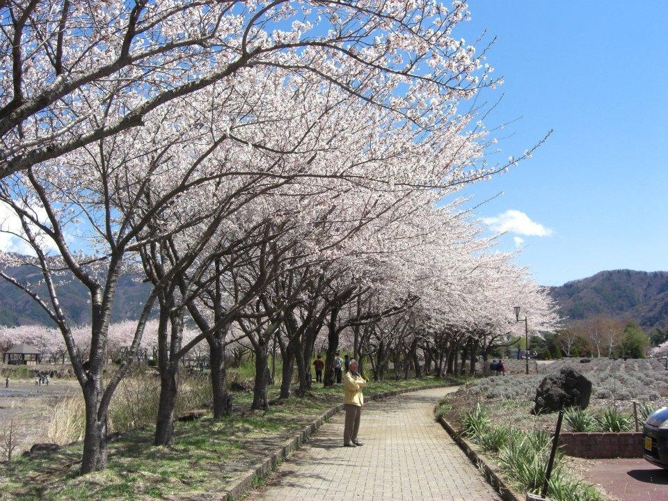 Minshuku Fugakuso Hotel Fujikawaguchiko Esterno foto